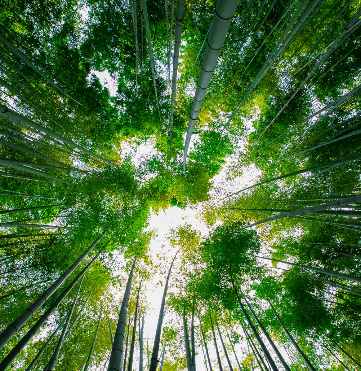 Measuring
what counts